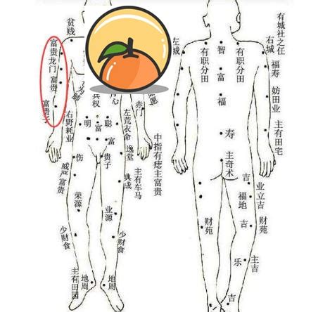 手臂有痣|從手上的痣看你的好運在哪？上手臂有痣善於 ...